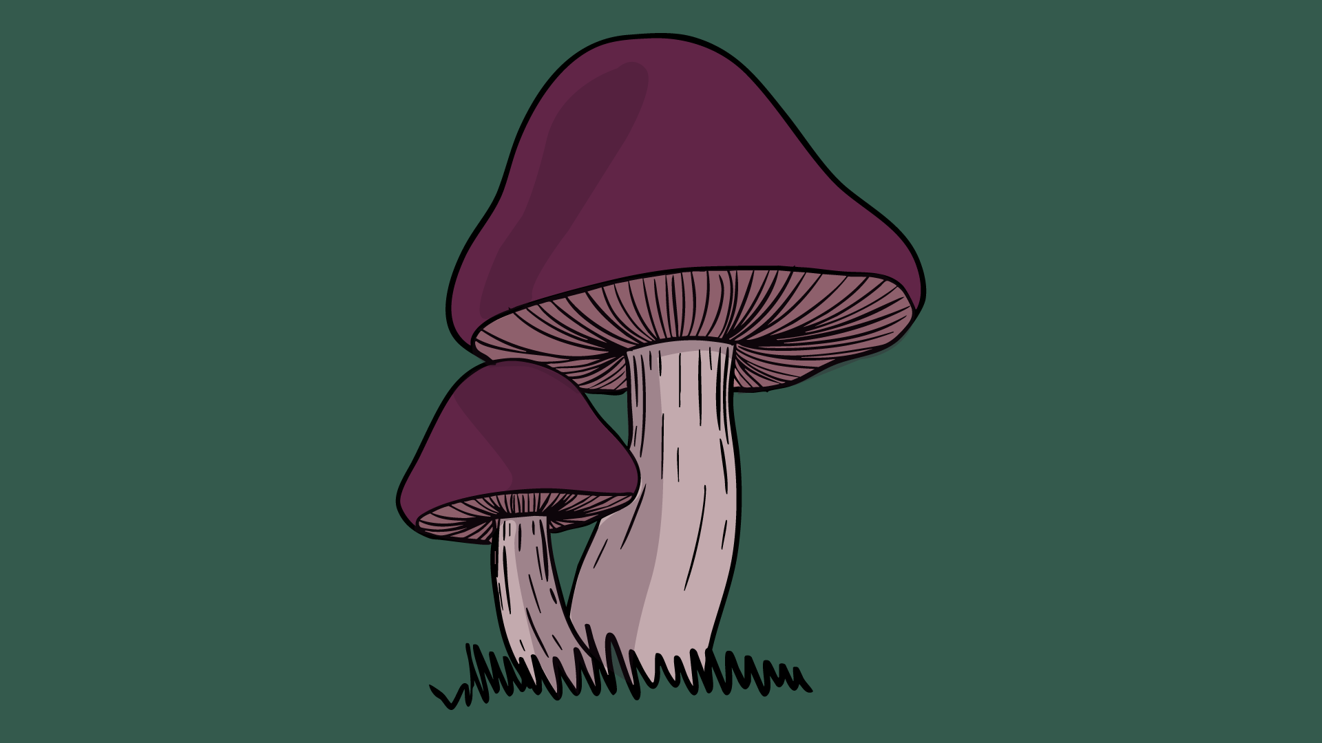 toadstool